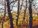 Poplars under the Bank