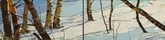 Long Shadows 2017