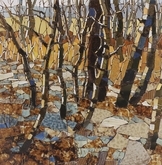 November Sun Near the Well