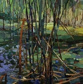 Rushes with Duckweed 2015