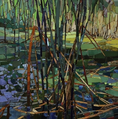 Rushes with Duckweed 2015