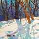 Sunlight Over the Ravine