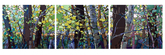 Rd 6N From the Woods in Spring  (Triptych)