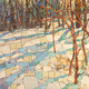 Winter Shadows Near the Spring